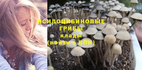 ПСИЛОЦИБИНОВЫЕ ГРИБЫ Краснослободск