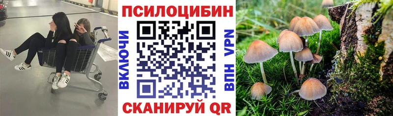 Купить  Стерлитамак  Галлюциногенные грибы MAGIC MUSHROOMS 